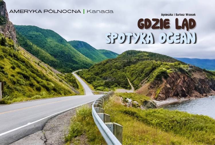 Losowy darmowy artykuł